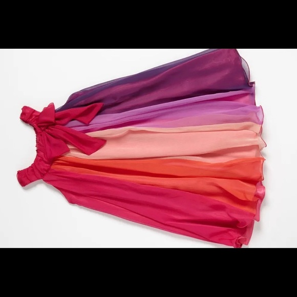 IRIS & IVY Chiffon Dress - Picture 4 of 8